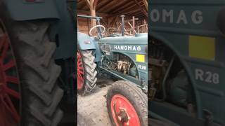 Hanomag R28 Oldtimer Traktor treckerfreunde landmaschinen farmer shortsvideo [upl. by Euqinwahs]