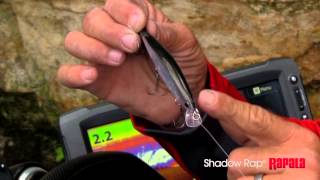 Rapala® Shadow Rap  Choosing The Right One [upl. by Oelc]