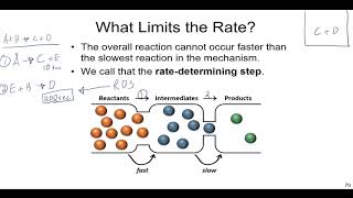 Chemical Kinetics Lecture on Reaction Mechanisms Molecularity and Catalysts [upl. by Herahab982]