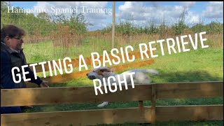 Tips for basic spaniel retrieves working Cocker working Springer Spaniel gundog training [upl. by Fortunna]