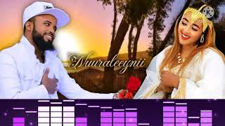 Farhaan sulee amp Ashiitaa Nuuree  Nuuraleeynii  Ethiopian Oromo Music  2022 [upl. by Arte]