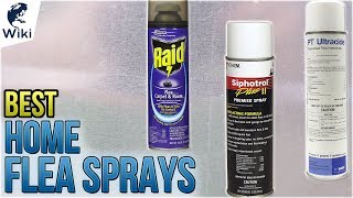 10 Best Home Flea Sprays 2018 [upl. by Ettezoj]