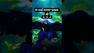 ମୋ ମା i love you maa shortvideo trending viralshort maastatus iloveumaa [upl. by Ahsasal]