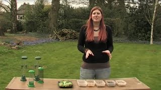 The Wildlife Garden Project  How to set up your bird feeders [upl. by Otanutrof]