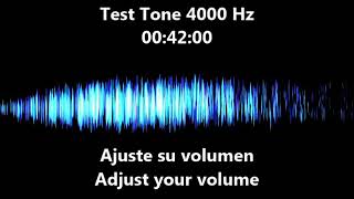 4000 hz Test Tone  Audio frequency  Hearing Test 4khz [upl. by Akined30]