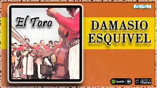 Damasio Esquivel El Toro Folklore y Chamamé Full Album [upl. by Vanden677]