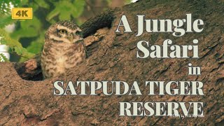 Pachmarhi Tour Madhya Pradesh Safari  Satpuda Jungle Safari पंचमढ़ी [upl. by Fafa353]