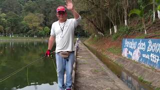 Dicas de Fly no Pesqueiro com Jorge Sampei Ep 3 [upl. by Bettina]