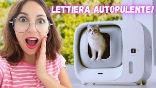 LOGGETTO PER GATTI CHE MI HA CAMBIATO LA VITA lettiera automatica Furbulous box [upl. by Fricke]