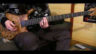 citrus OP quotアザレアAzaleaquot Solo Bass Cover [upl. by Armond762]