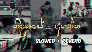 Best Sinhala Song  Collection  SLOWED amp REVERB   NIDAHASE AHANNA [upl. by Neelahs758]