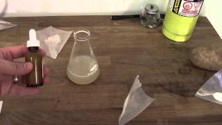 Your Home Yeast Lab Made Easy  Making Agar Plates [upl. by Tharp]