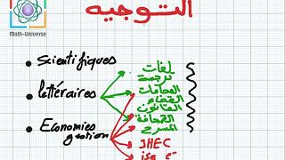 lorientation التوجيه [upl. by Ardeahp]