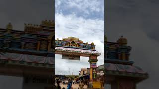 yellamma 🙏 yelli kane yelli kane karnataka viral short worship god love [upl. by Ecirtal127]