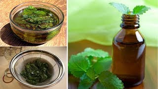 How to make Peppermint Oil at Home and Benefits  Very Easy [upl. by Gaston994]