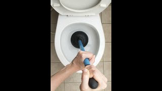 Toilet Plunging 1 Hour [upl. by Farman]