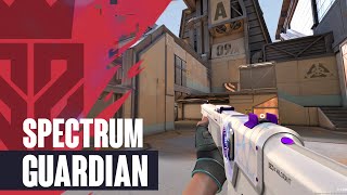 Spectrum Guardian Skin Showcase ZEDD Guardian  Valorant Spectrum Skins [upl. by Reddy]