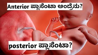 ಗರ್ಭಿಣಿಯರಲ್ಲಿ ANTERIOR POSTERIOR ಪ್ಲಾಸೆಂಟಾ ಅಂದ್ರೇನು kannada pregnancy [upl. by Lenoil]