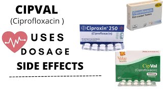 cipval 500 mg uses in urducipval ciprofloxacin ciprofloxacin 500mg uses Dosage and side effects [upl. by Amol]