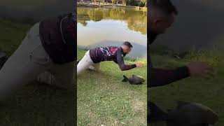 Person catches escaping fish before it returns to water in Brazil [upl. by Cita506]