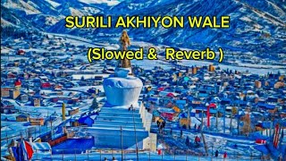 SURILI AKHIYON WALE SONG 2024 SLOWED amp REVERB 💗💐 [upl. by Dalia]