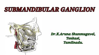 Submandibular ganglion  Roots  Branches  Development  Clinical Anatomy  Animated video [upl. by Laeira]