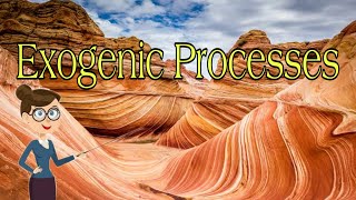 Exogenic Processes [upl. by Clarance]