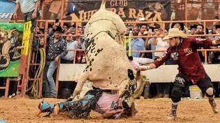 Los Mejores Quites Del Mejor torero en USA Sasquatch [upl. by Gildea979]