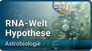 RNAWelt Hypothese • Entstehung des Lebens • ProtoRibosome • Astrobiologie 4  Aleksandar Janjic [upl. by Anitsyrhc]