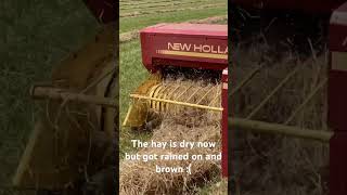 Speed baling tiny windrows hay farming hayfarming newholland farm newhollandagriculture [upl. by Ateloiv]