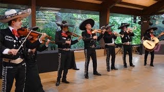 mariachis en Barcelona Son de la negra Mariachi Internacional Barcelona [upl. by Blodgett]