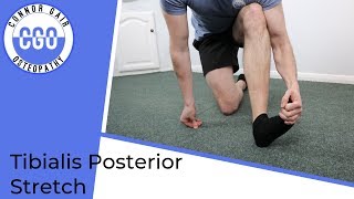 Tibialis Posterior Stretch  Kneeling [upl. by Romona]