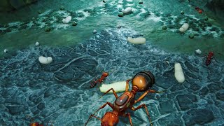 One Fire Ants Vs Three Black Ants Impossible Mode Empires Of The Undergrowth [upl. by Frederico]