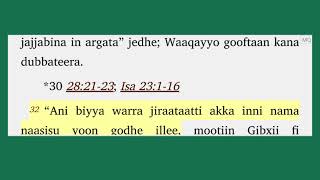 151 macaafa Hisqieel Raajichaa boqonnaa 31 hanga 40 [upl. by Rosalie]