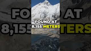 The Haunting and Mysterious Fate of Mallory and Irvine  Mount Everest Unsolved Mystery [upl. by Adnilrev]