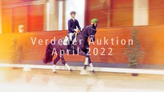 Verden Auction Online  Sporthorses  April 23 2022 [upl. by Petulia]