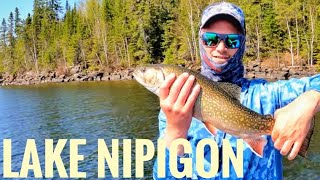 Early Spring visit to famous Lake Nipigon in search of Pike [upl. by Ahsias]