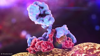 Advancing our Understanding of Immunoglobulins to Better Understand Disease [upl. by Ihskaneem856]