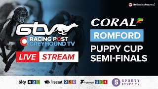 Coral Romford Puppy Cup SemiFinals  Live Greyhound Racing [upl. by Rohn]