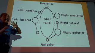 Patología BENIGNA ANORECTAL  CIRUGÍA GENERAL [upl. by Nais]