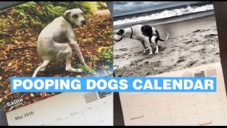 Pooping Dogs Calendar [upl. by Elum]