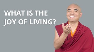 What Is the Joy of Living — Mingyur Rinpoche [upl. by Yartnod]