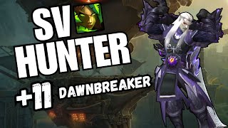 11 Dawnbreaker Survival Hunter PoV  The War Within [upl. by Hazeefah831]