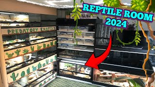 NEW UK REPTILE ROOM TOUR 2024  February [upl. by Kella]