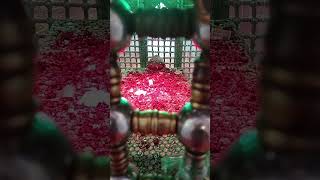 Labbaik Ya Hussain  Ya Hussain Hussain Hussain  Salam Ya Hussain [upl. by Samford]