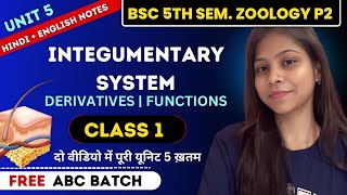 Integumentary System BSc 2nd year 5th Semester Zoology Paper 2 Unit 5 💯🔥Derivatives Functions [upl. by Sanborn]