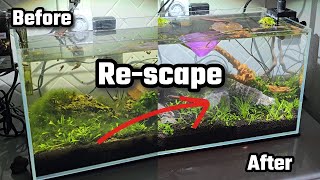 Nano Tank Rescape UNS 5N low tech with kessil a80 tuna sun [upl. by Nrol768]