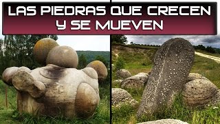 Los Trovants Las piedras que crecen y se mueven [upl. by Tirrej]