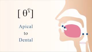 θˁ  unvoiced pharyngealized apical dental non sibilant fricative [upl. by Lekzehcey]