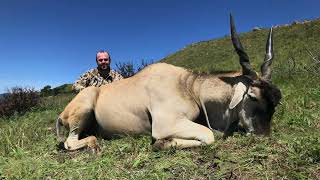 Hunting Eland in KZN [upl. by Oskar]